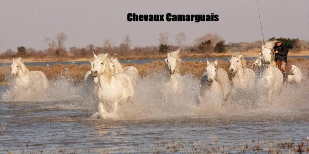 ארל Studio Cosy Abondance Au Coeur Du Centre Historique -Wifi-Coin Chambre מראה חיצוני תמונה